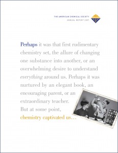 acs annual report acs annual report