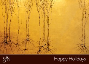 SfN Holiday Card