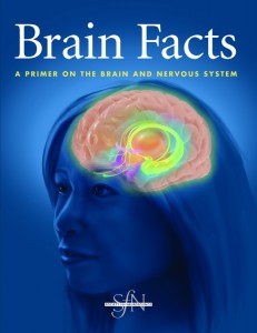 Brain Facts