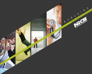 NICB 2010 Annual Report NICB 2010 Annual Report
