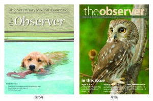 The OVMA Observer - Bi-monthly newsletter The OVMA Observer - Bi-monthly newsletter