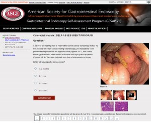 Gastrointestinal Endoscopy Self-Assessment Program (GESAP VII)