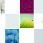 AHF 2013 Sponsorship Program