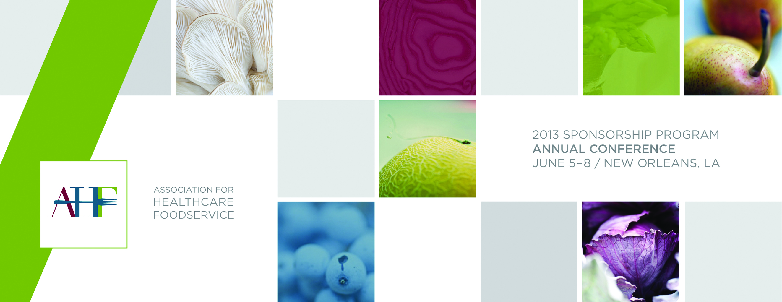 AHF 2013 Sponsorship Program